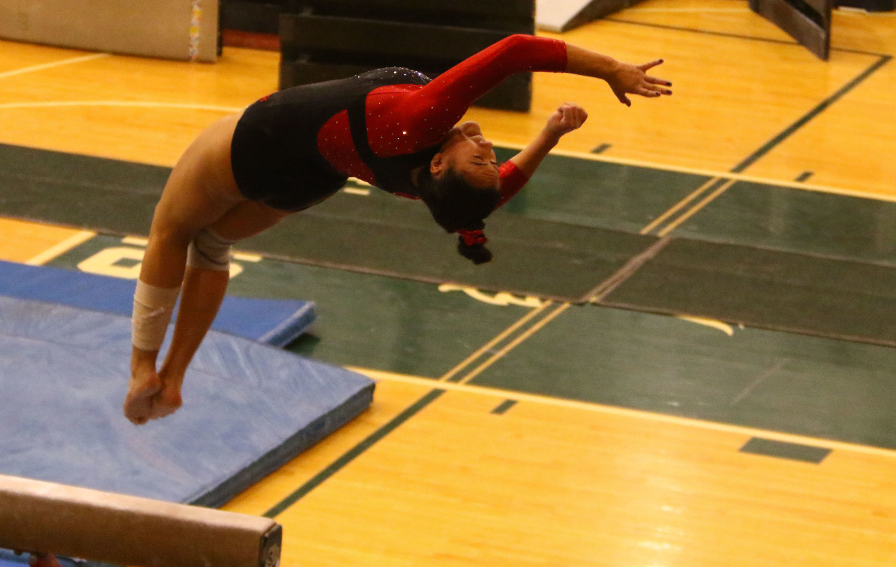 Gallery: Gymnastics Regional